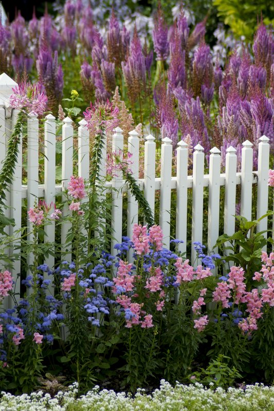 TMichigan-261.jpg :: SONY DSC