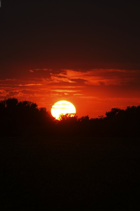 TMichigan-274.jpg :: SONY DSC