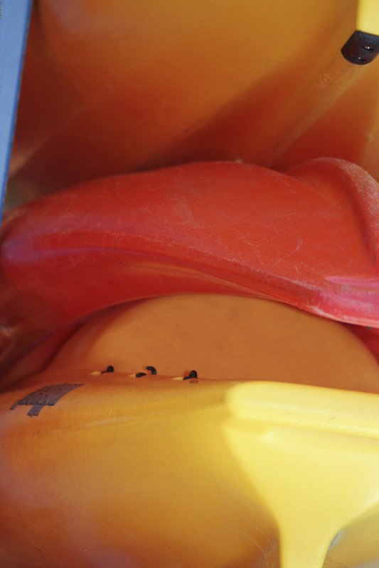 TMichigan-49.jpg :: SONY DSC