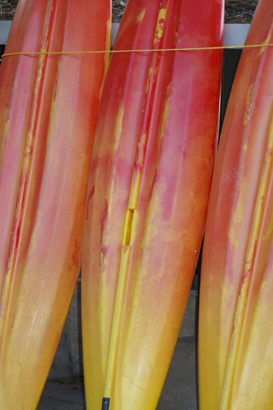 TMichigan-51.jpg :: SONY DSC