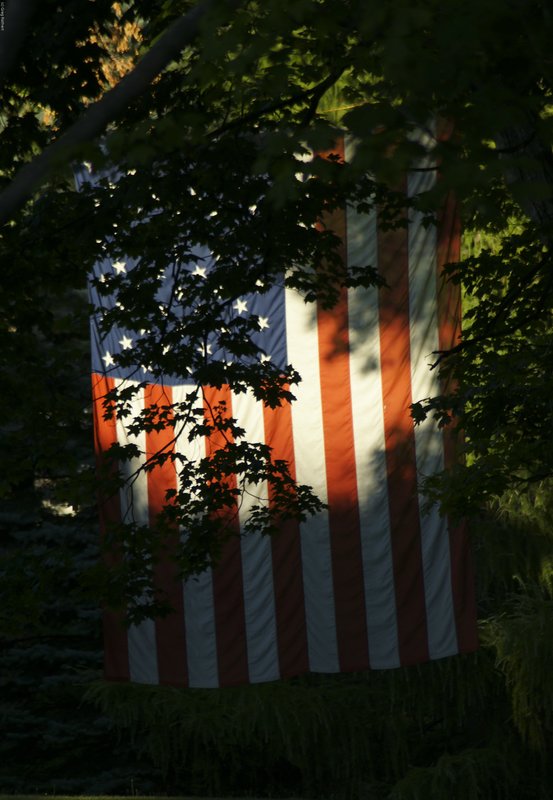 TMichigan-98.jpg :: SONY DSC