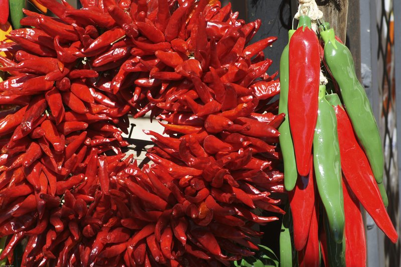 TNM-10.jpg :: SONY DSC