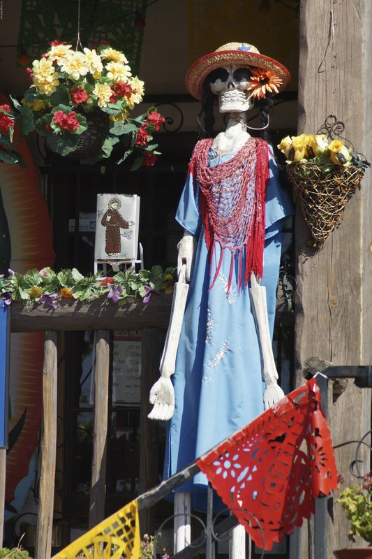 TNM-108.jpg :: SONY DSC