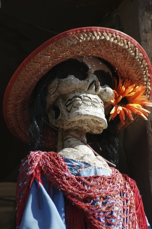 TNM-111.jpg :: SONY DSC