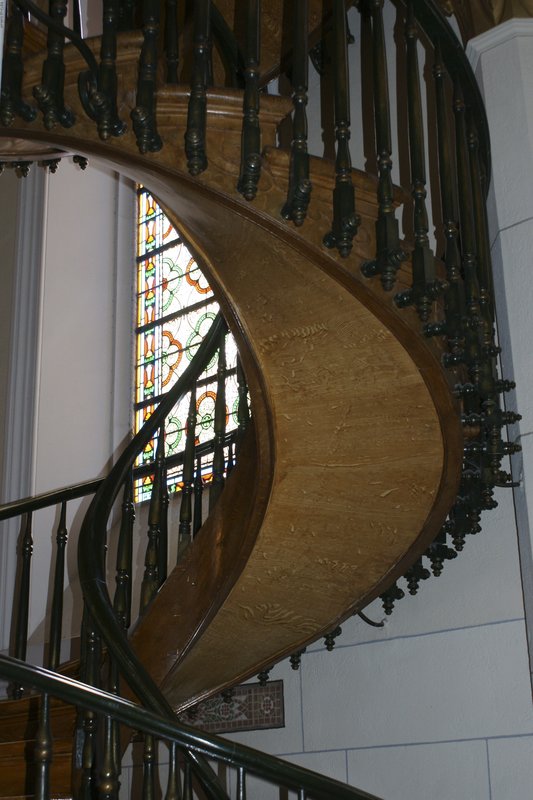 TNM-137.jpg :: SONY DSC