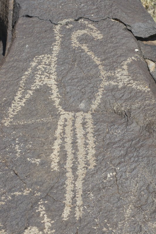 TNM-78.jpg :: SONY DSC