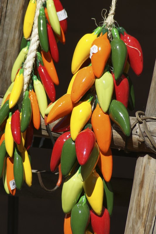 TNM-8.jpg :: SONY DSC