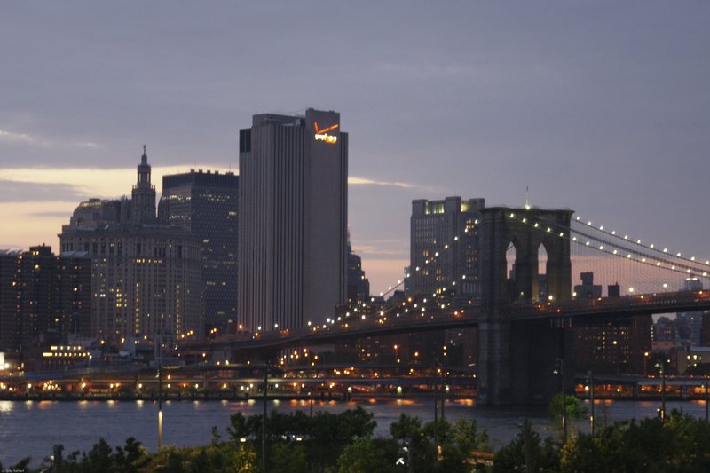 TNYC-116.jpg :: SONY DSC