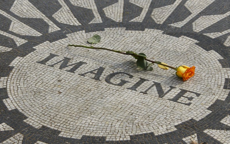 TNYC-25-2.jpg :: SONY DSC