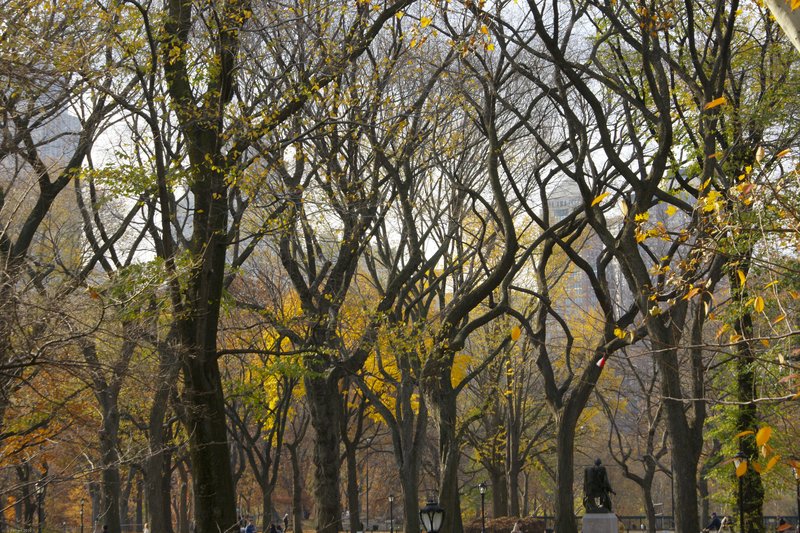 TNYC-37-2.jpg :: SONY DSC