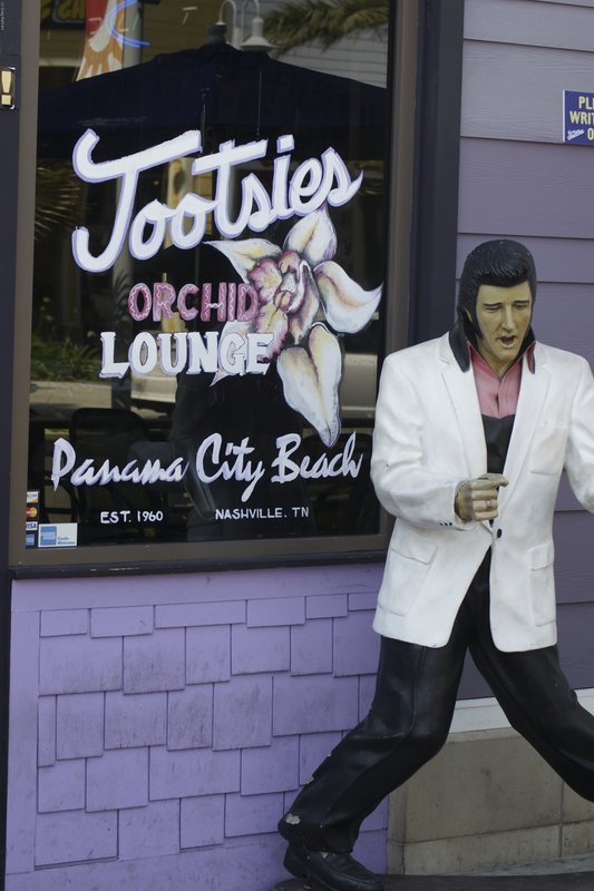 TPBFL-31.jpg :: SONY DSC