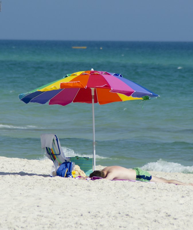 TPBFL-33.jpg :: SONY DSC