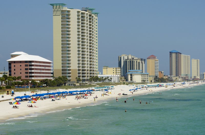 TPBFL-8.jpg :: SONY DSC