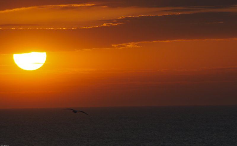 TSCMB-36.jpg :: SONY DSC