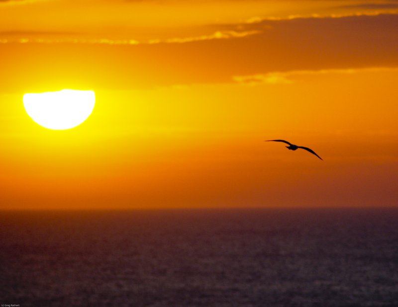 TSCMB-37.jpg :: (c) G.Rathert Images