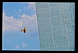 Air show 5.jpg