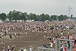EBonnaroo_002.jpg
