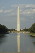 TDC-42.jpg