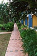 TJamaica_001.jpg