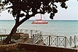 TJamaica_002.jpg