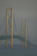 TMichigan-165.jpg