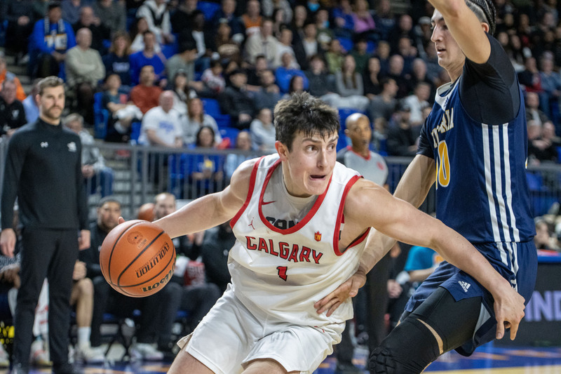 DSC_9993 copy(1).jpg