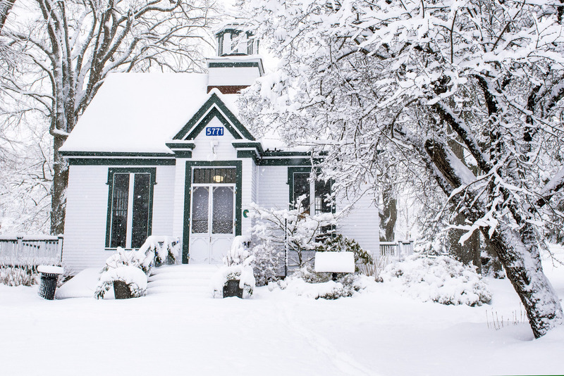 Public Gardens 1(1).jpg