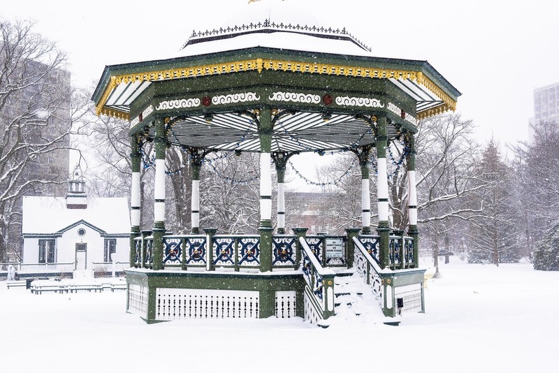 Public Gardens 2(1).jpg