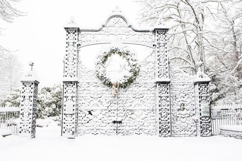 Public Gardens 3(1).jpg