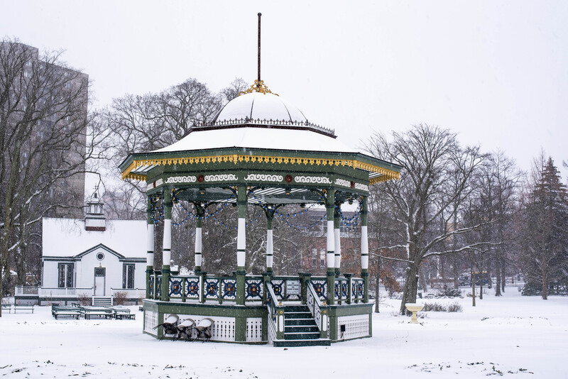 Public Gardens 4(1).jpg