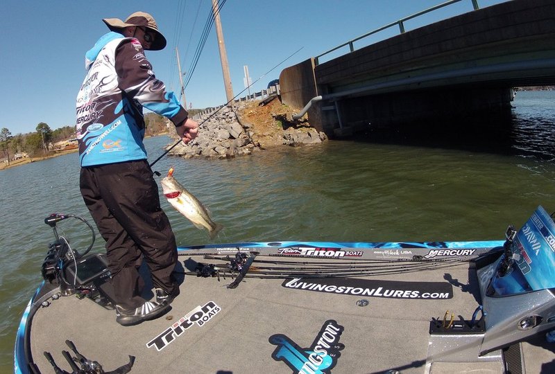 BASSMASTER Classic ALHY    1320     .jpg :: first day of the BASSMASTER Classic Friday Feb. 21, 2014 in Guntersville, Ala. (Photo/Hal Yeager)