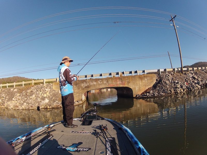 BASSMASTER Classic ALHY    1395     .jpg :: first day of the BASSMASTER Classic Friday Feb. 21, 2014 in Guntersville, Ala. (Photo/Hal Yeager)
