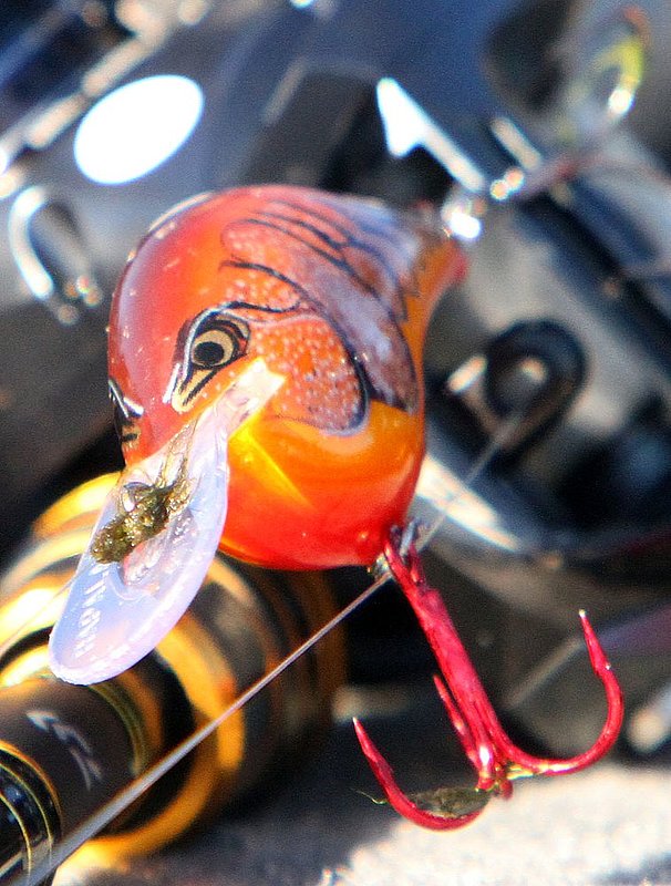 BASSMASTER Classic ALHY    144     .jpg :: first day of the BASSMASTER Classic Friday Feb. 21, 2014 in Guntersville, Ala. (Photo/Hal Yeager)