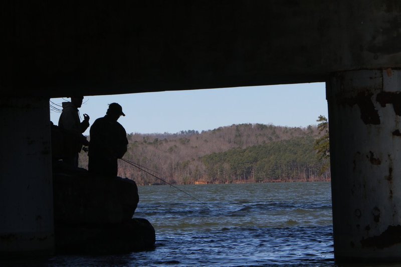 BASSMASTER Classic ALHY    202     .jpg :: first day of the BASSMASTER Classic Friday Feb. 21, 2014 in Guntersville, Ala. (Photo/Hal Yeager)
