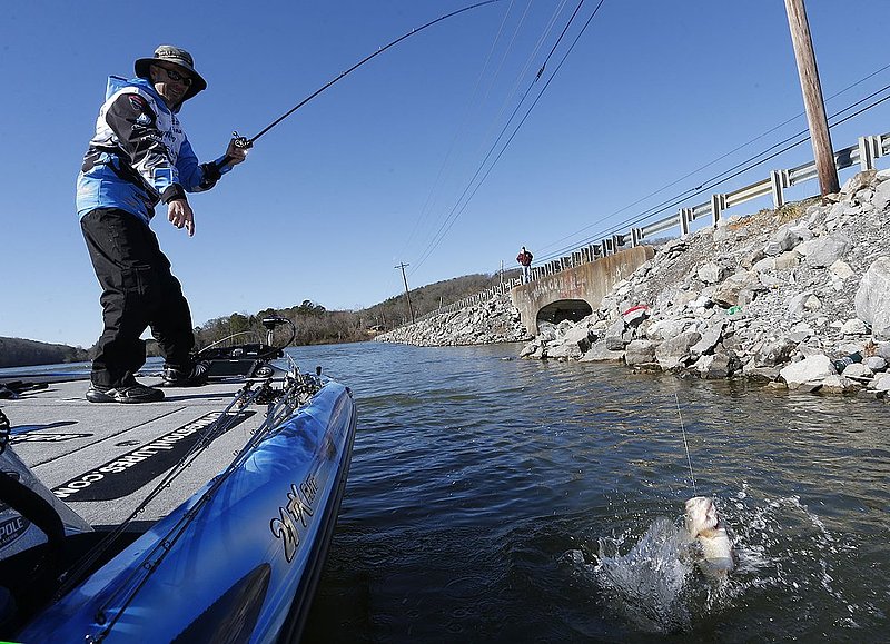 BASSMASTER Classic ALHY    899     .jpg :: first day of the BASSMASTER Classic Friday Feb. 21, 2014 in Guntersville, Ala. (Photo/Hal Yeager)