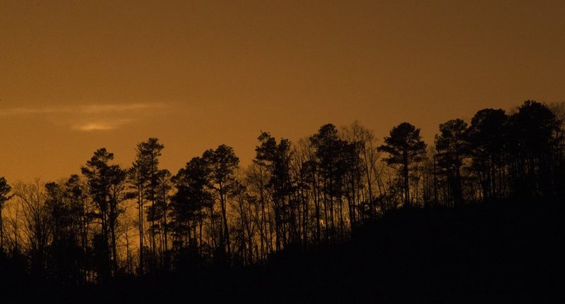 Guntersville Eagles 32114   894.jpg :: Guntersville dam eagles, Friday, March 21, 2014, in Guntersville, Ala. ( Photo/Hal Yeager)