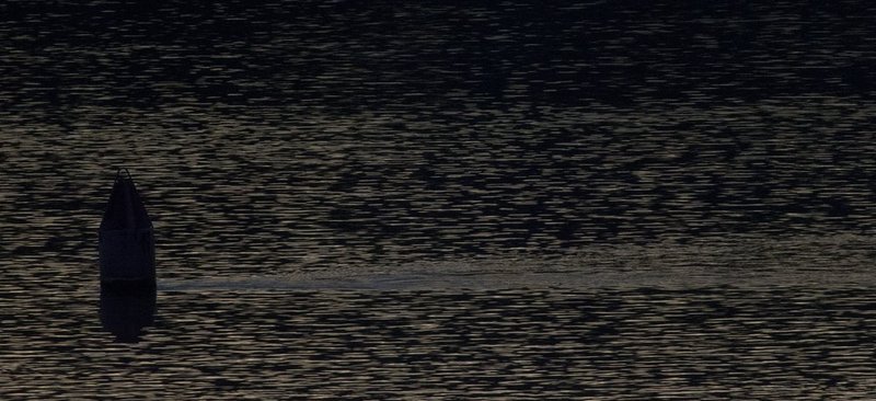 Guntersville Eagles 32114   905.jpg :: Guntersville dam eagles, Friday, March 21, 2014, in Guntersville, Ala. ( Photo/Hal Yeager)