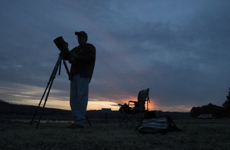 Guntersville Eagles 32114   921.jpg :: Guntersville dam eagles, Friday, March 21, 2014, in Guntersville, Ala. ( Photo/Hal Yeager)