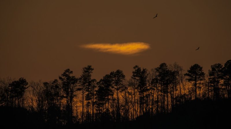 Guntersville Eagles 32314    200.jpg :: Guntersville Eagles 32214, Sunday, March 23, 2014, in Guntersville, Ala. ( Photo/Hal Yeager)
