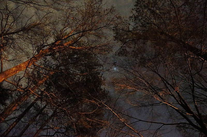 JUPITER.jpg :: in the second half of the annual Turkey Day Classic at Alabama State University in Montgomery Ala., Thursday, Nov. 22,  2012. (Photo/Hal Yeager)