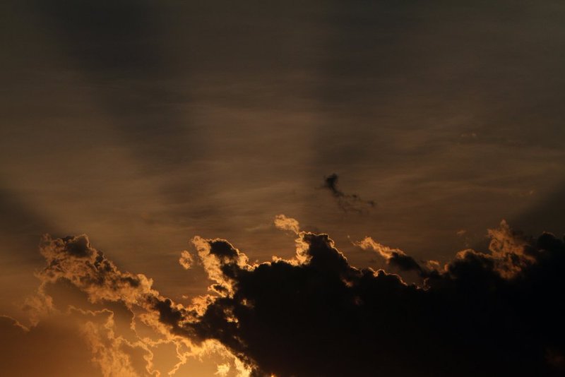 LIGHT RAILS    215.jpg