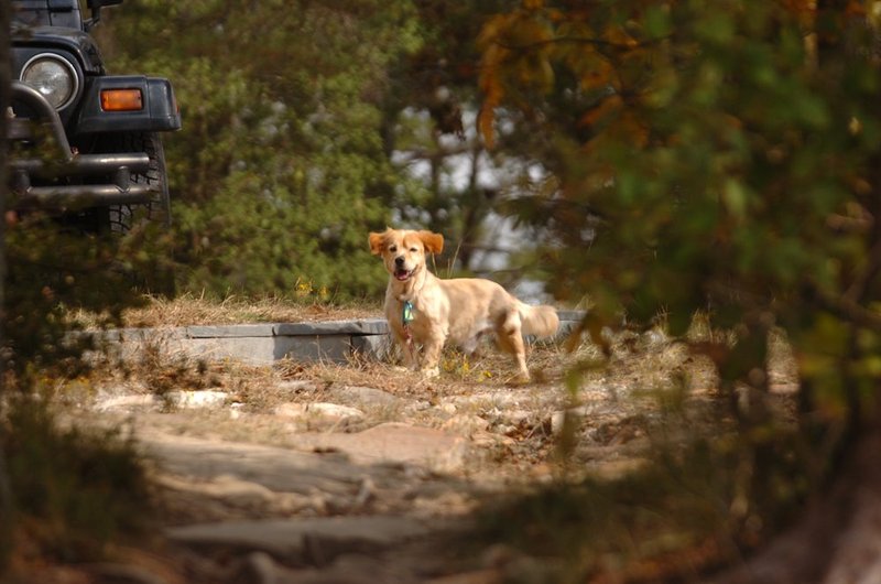 LITTLE RIVER CENTER  142.jpg :: LITTLE RIVER CENTER----JSU's Pete Conroy and Kim Kirk, Little River Canyon National Preserve, examine JSU's 25,000 square foot center now under construction off highway 35 near Little River Falls. The center, expected to open late 2008,  will be home to JSU's field school programs as well as the National Park Service.
News staff/Hal Yeager reporter/????