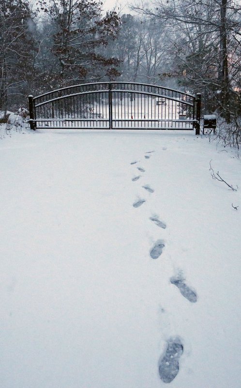 WINTER WEATHER ALHY101    104     .jpg :: as snow fell on north Alabama Tuesday Feb. 11,  2014 in Fort Payne Ala.  ( Photo/Hal Yeager)