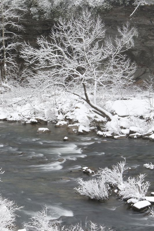 WINTER WEATHER ALHY101    537     .jpg :: as snow fell on north Alabama Tuesday Feb. 11,  2014 in Fort Payne Ala.  ( Photo/Hal Yeager)