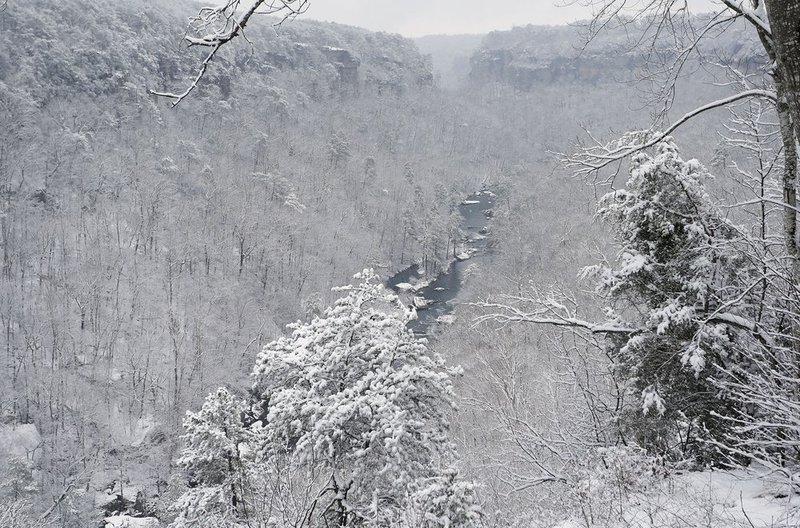 WINTER WEATHER ALHY101    593     .jpg :: as snow fell on north Alabama Tuesday Feb. 11,  2014 in Fort Payne Ala.  ( Photo/Hal Yeager)