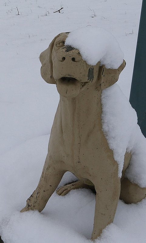 WINTER WEATHER ALHY101    687     .jpg :: as snow fell on north Alabama Tuesday Feb. 11,  2014 in Fort Payne Ala.  ( Photo/Hal Yeager)