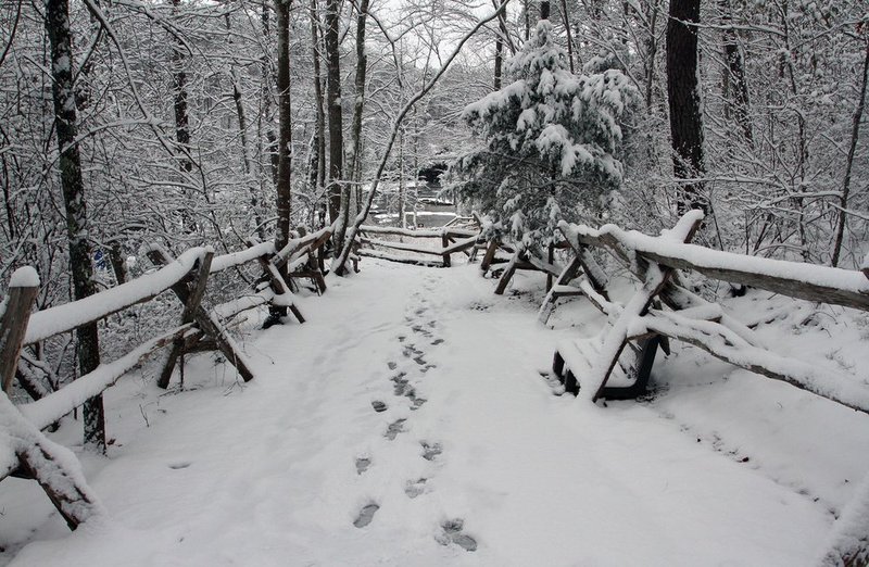 WINTER WEATHER ALHY101    971     .jpg :: as snow fell on north Alabama Tuesday Feb. 11,  2014 in Fort Payne Ala.  ( Photo/Hal Yeager)