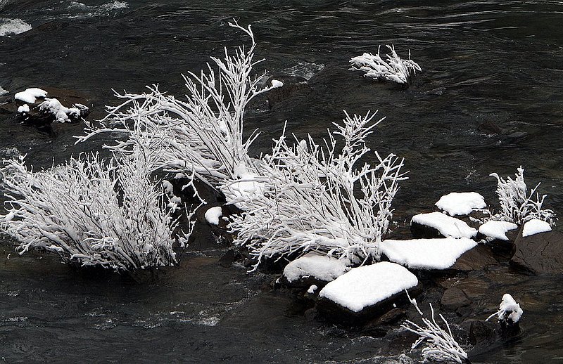 WINTER WEATHER ALHY101    983     .jpg :: as snow fell on north Alabama Tuesday Feb. 11,  2014 in Fort Payne Ala.  ( Photo/Hal Yeager)