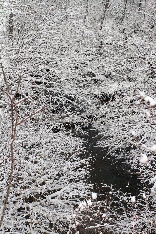 WINTER WEATHER ALHY101    999     .jpg :: as snow fell on north Alabama Tuesday Feb. 11,  2014 in Fort Payne Ala.  ( Photo/Hal Yeager)