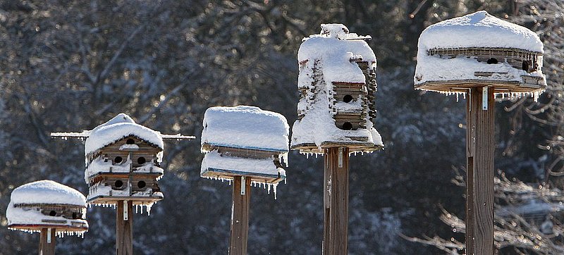 WINTER WEATHER ALHY105A.jpg :: Ice and snow cover bird houses Thursday, Feb. 13,  2014 along highway 176 atop Lookout Mountain in Fort Payne Ala.  A snow storm covered much of central and north Alabama Wednesday night with several inches of snow.(AP Photo/Hal Yeager)